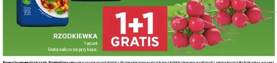 Rzodkiewka