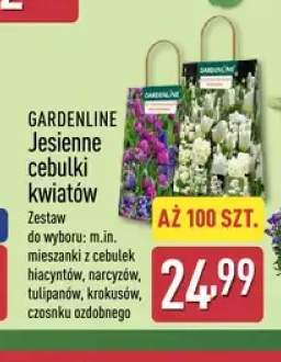 Jesienne cebulki kwiatów Gardenline