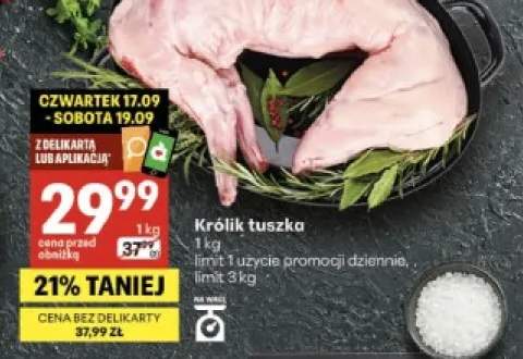 Królik tuszka