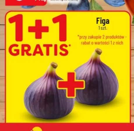 Figa