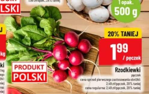 Rzodkiewki