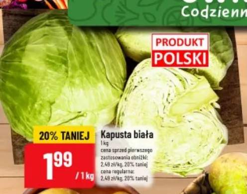 Kapusta biała
