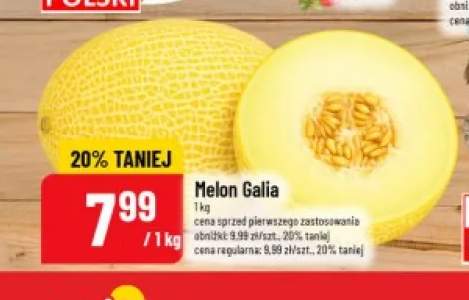 Melon Galia