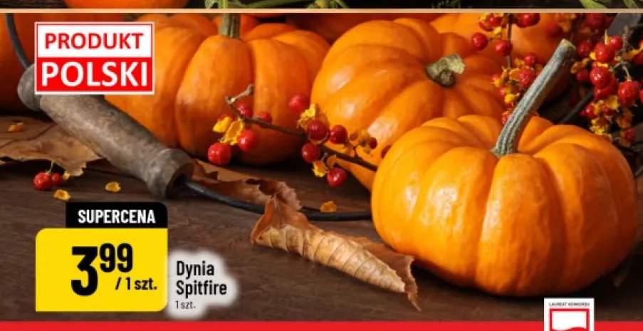 Dynia Spitfire