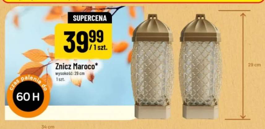 Znicz Maroco