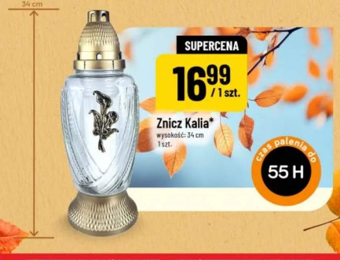 Znicz Kalia