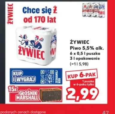 Piwo Żywiec 6-pak