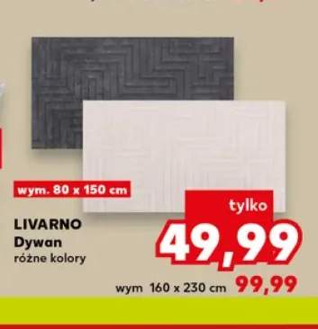 Dywan Livarno 80x150 cm +1 wariant