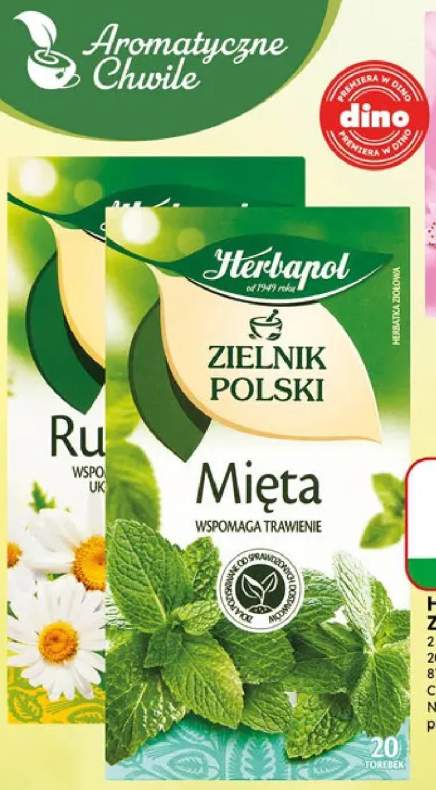 Herbatka ziołowa Zielnik Polski Herbapol