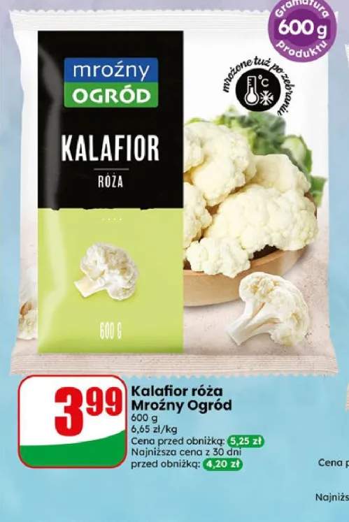 Kalafior róża Mroźny Ogród