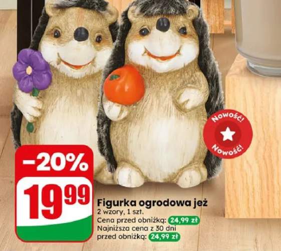 Figurka ogrodowa jeż