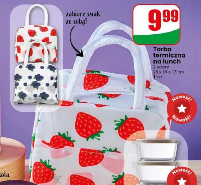 Torba termiczna na lunch 23x19x13 cm