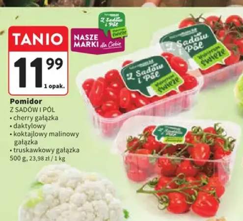 Pomidor cherry gałązka Z Sadów i Pól +3 warianty