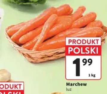 Marchew
