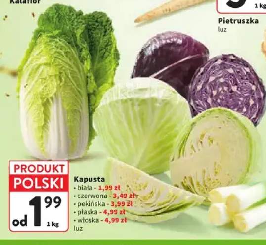 Kapusta biała +4 warianty
