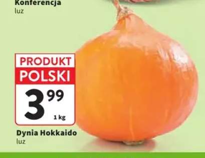 Dynia Hokkaido polska