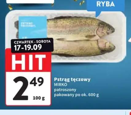 Pstrąg tęczowy patroszony Mirko