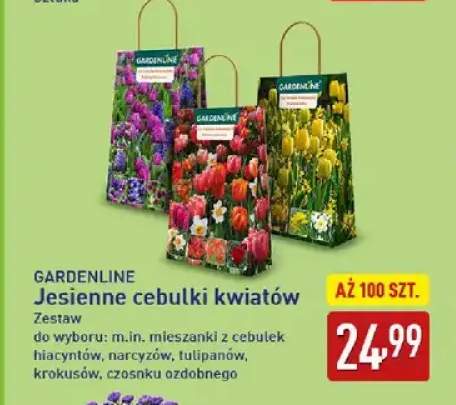 Jesienne cebulki kwiatów Gardenline