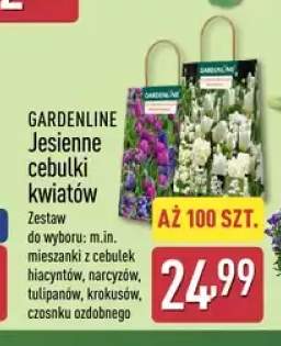 Jesienne cebulki kwiatów Gardenline