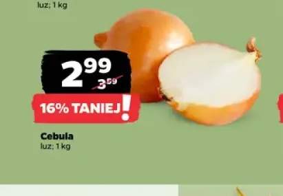 Cebula