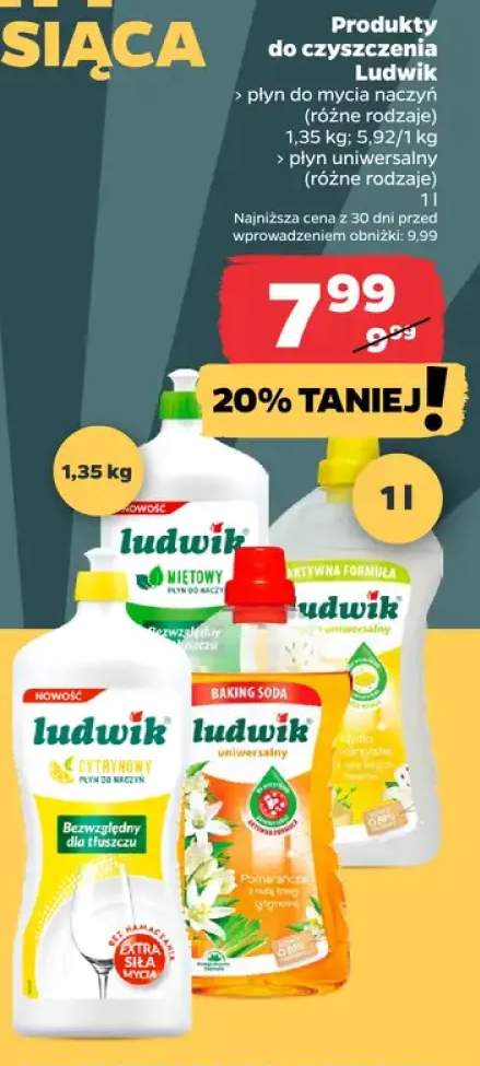 Płyn do mycia naczyń Ludwik +1 wariant