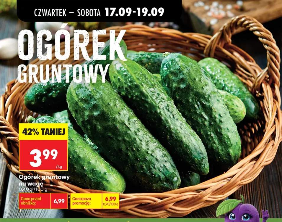 Ogórki gruntowe