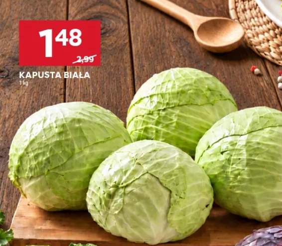 Kapusta biała