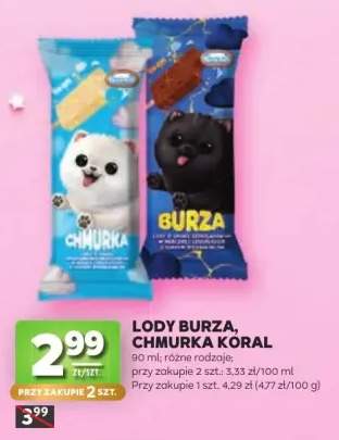 Lody Burza +1 wariant
