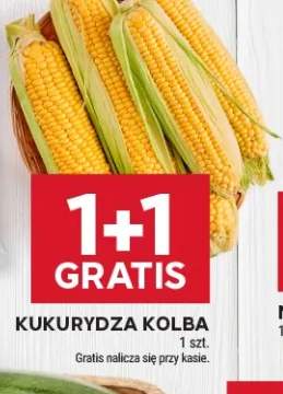 Kukurydza kolba