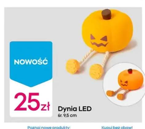 Dynia LED