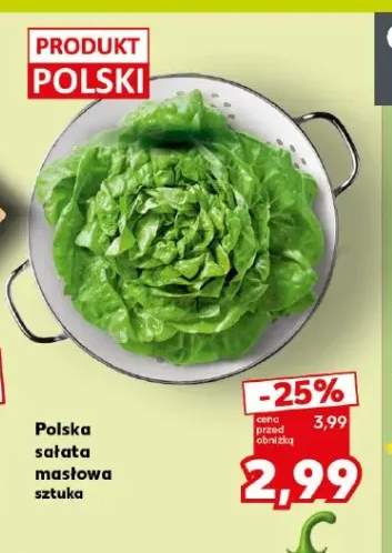 Sałata masłowa polska