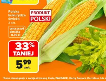 Kukurydza świeża polska 3-pak