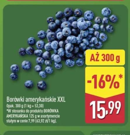 Borówki amerykańskie XXL