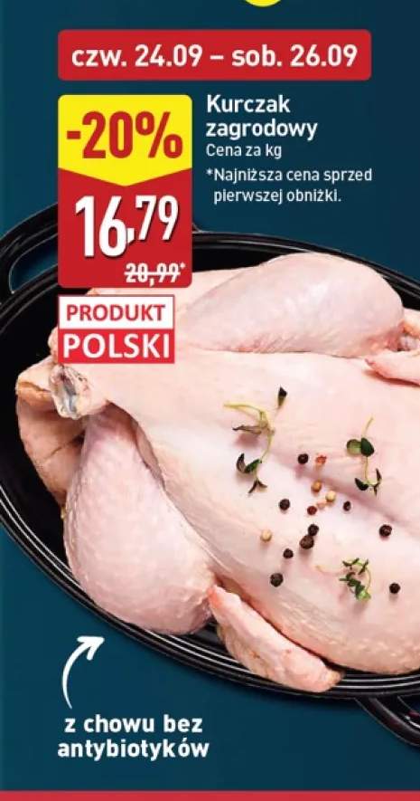 Kurczak