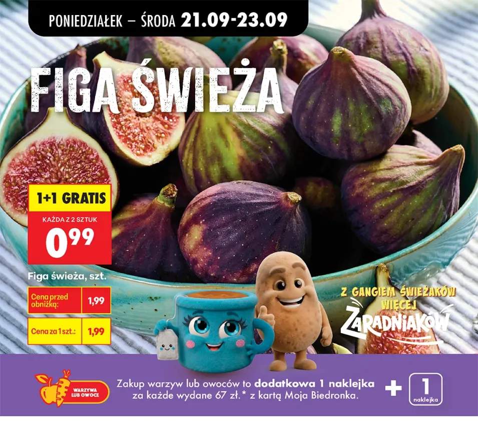 Figa świeża