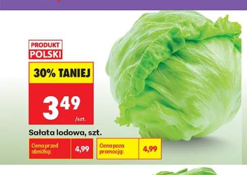 Sałata lodowa