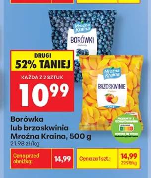 Borówka Mroźna Kraina +1 wariant