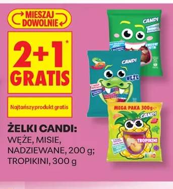 Żelki Węże Candi +3 warianty
