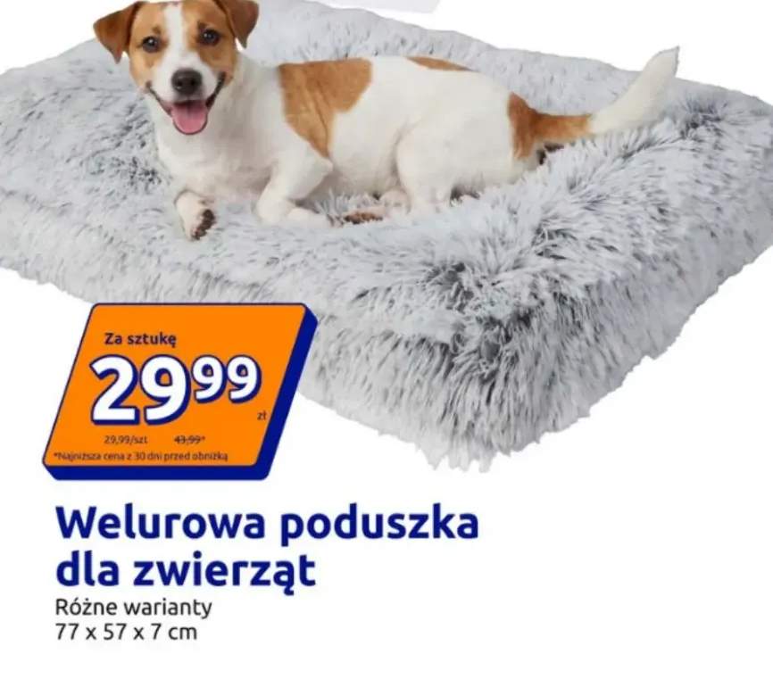 Welurowa poduszka dla zwierząt 77x57x7 cm