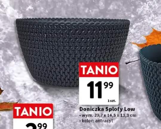 Doniczka