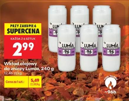 Wkład olejowy do zniczy Lumia