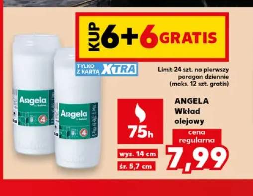 Wkład olejowy Angela