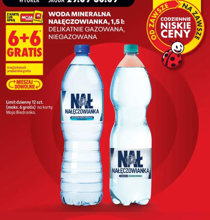 Flaki wołowe po zamojsku Pudliszki +10 wariantów