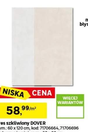 Gres szkliwiony 60x120 cm Dover Light Grey mat 2.16 m2