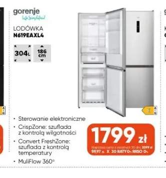 Lodówka N619EAXL4 Gorenje