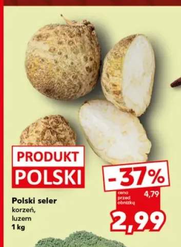 Seler korzeń polski