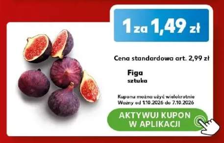 Figa