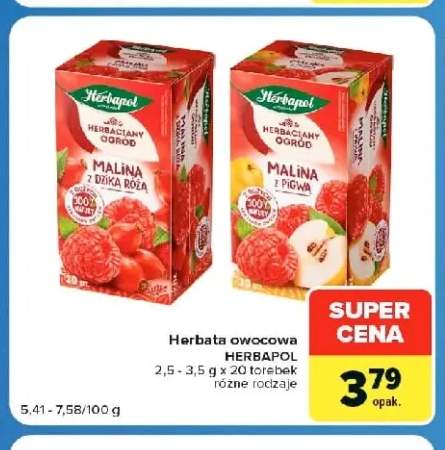 Herbata owocowa Herbaciany Ogród malina z dziką różą Herbapol +1 wariant