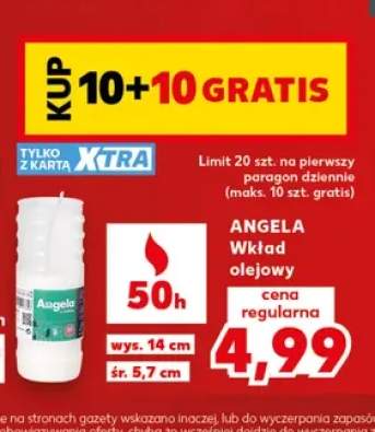 Wkład olejowy Angela