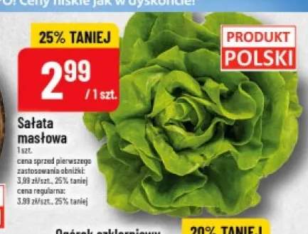 Sałata masłowa